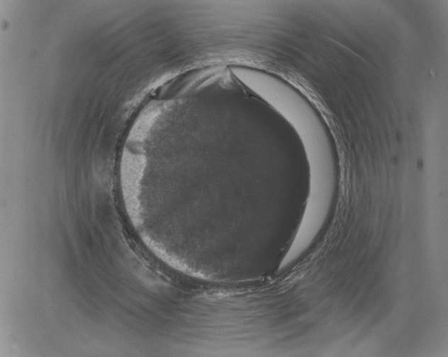 X0000080100434200701051308
