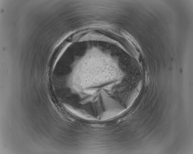 X0000080100436200701051308