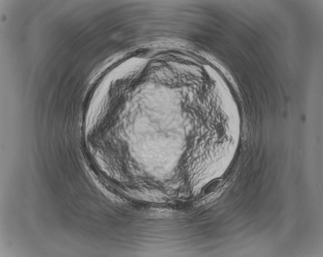 X0000080100437200701051308