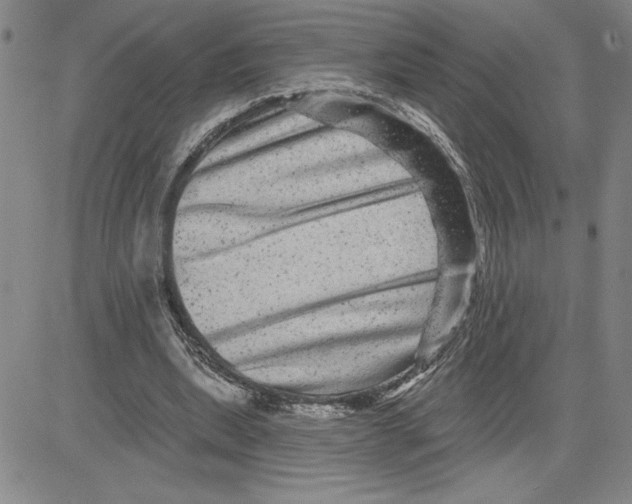 X0000080100439200701051308