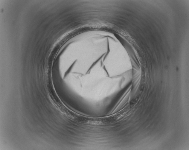 X0000080100440200701051308