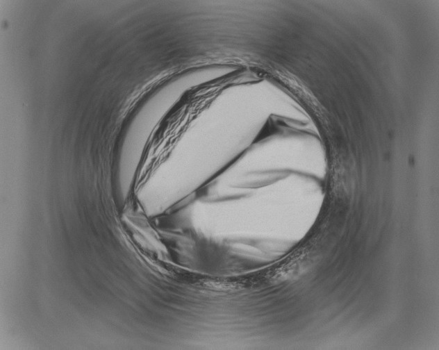 X0000080100442200701051309