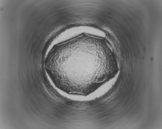 X0000080100443200701051309