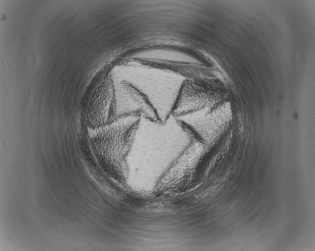 X0000080100447200701051309