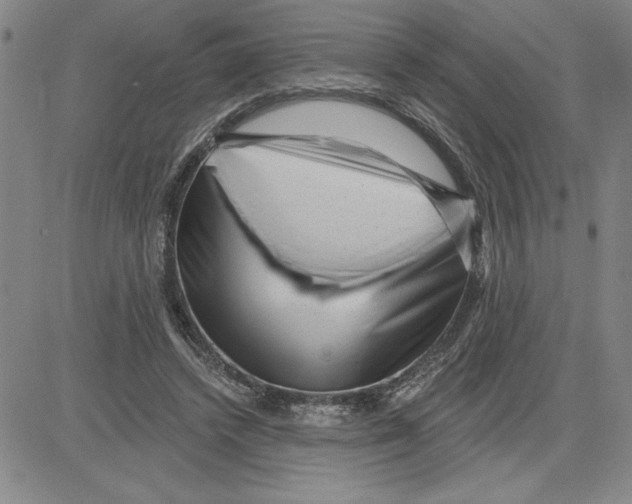 X0000080100448200701051309