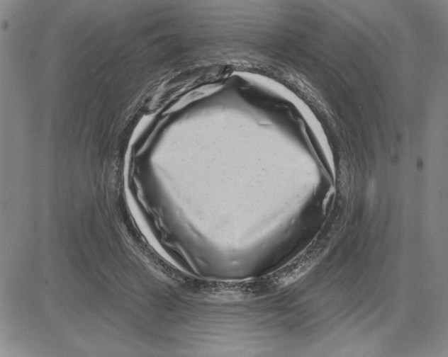 X0000080100449200701051309