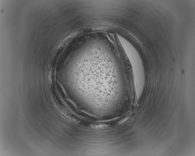 X0000080100452200701051309