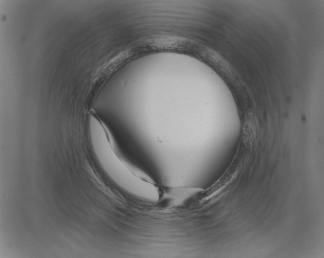 X0000080100454200701051309