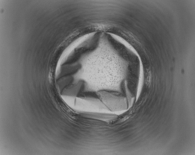 X0000080100456200701051309