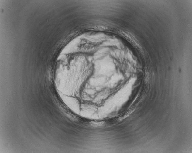 X0000080100457200701051309