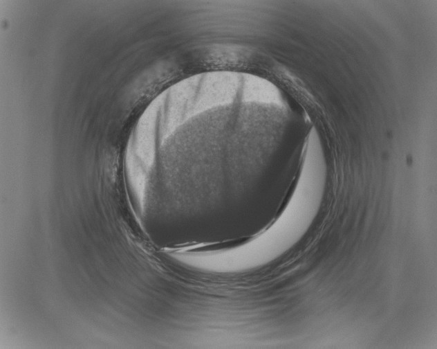 X0000080100458200701051309