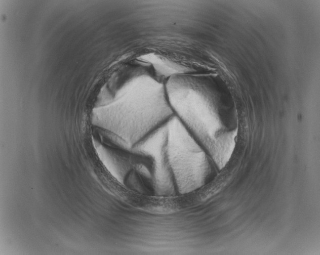 X0000080100459200701051309