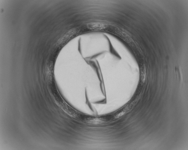 X0000080100460200701051309