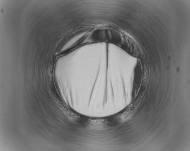 X0000080100461200701051309