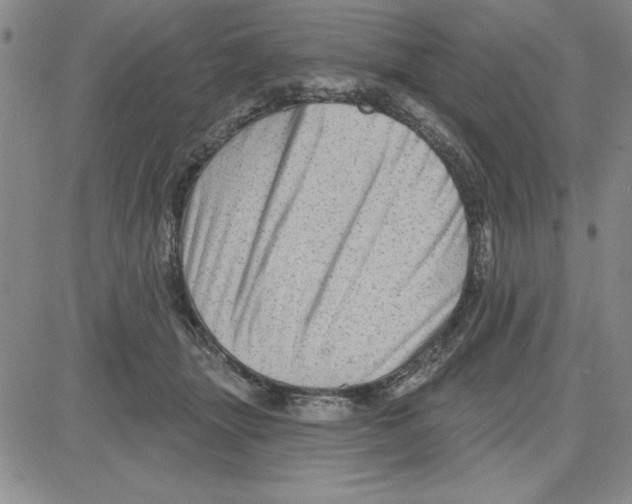 X0000080100463200701051309