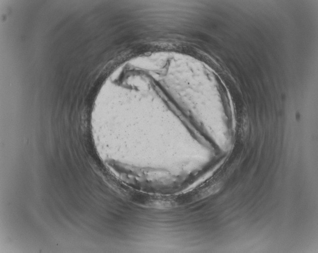 X0000080100466200701051309
