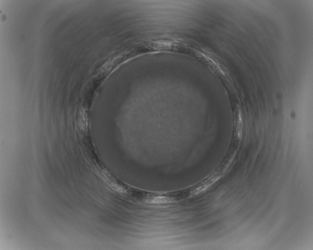 X0000080100467200701051309