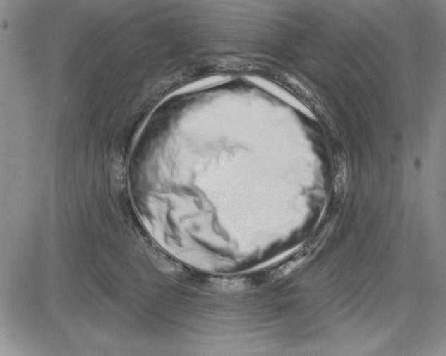 X0000080100469200701051309