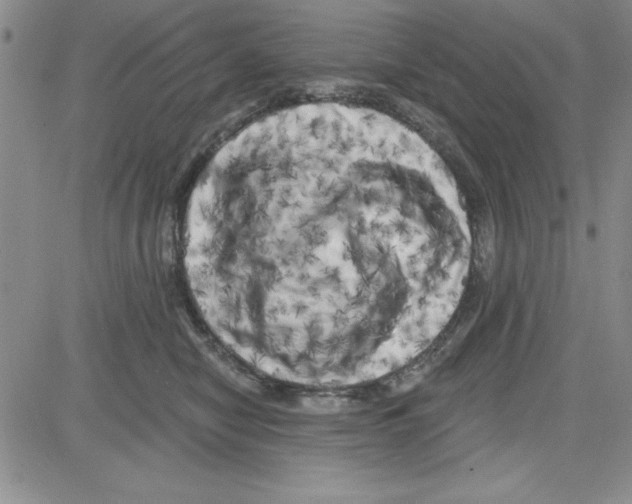 X0000080100470200701051309