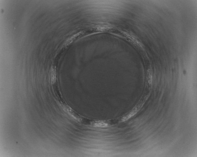 X0000080100471200701051309