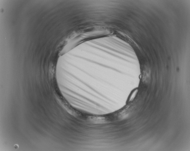 X0000080100476200701051309