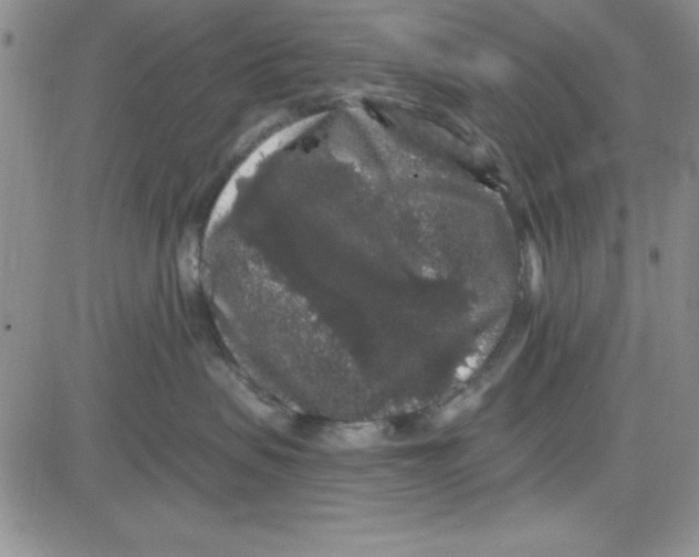 X0000080100479200701051309