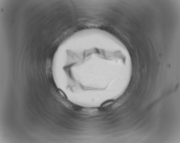 X0000080100480200701051309