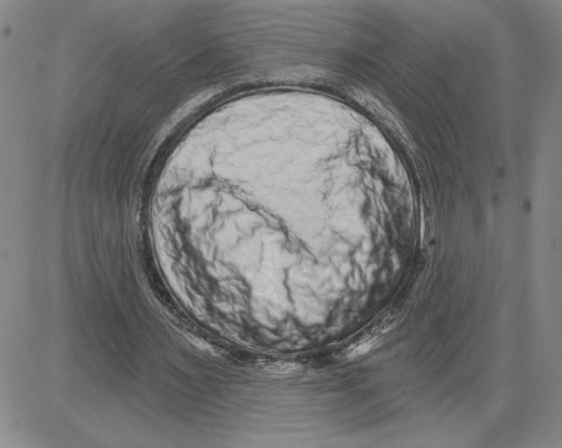 X0000080100483200701051308
