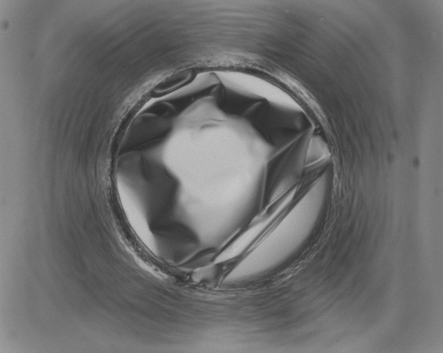 X0000080100485200701051308