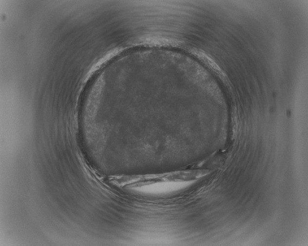 X0000080100488200701051308