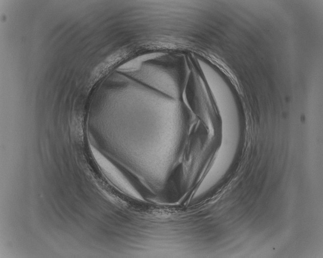X0000080100489200701051308