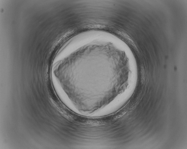 X0000080100490200701051308