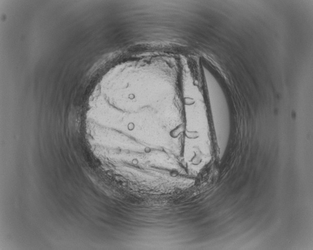 X0000080100495200701051308