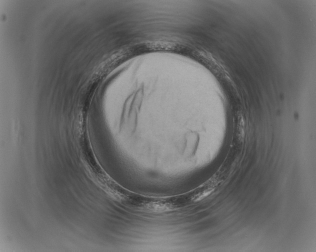 X0000080100498200701051308