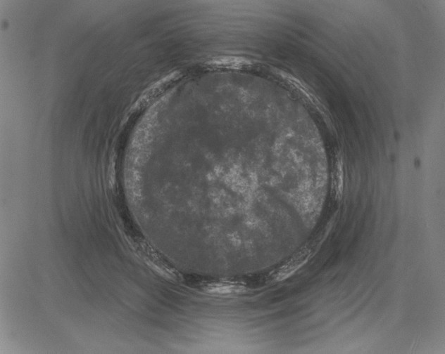 X0000080100504200701051308