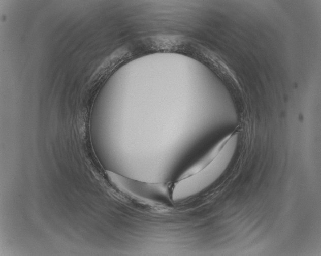 X0000080100505200701051308