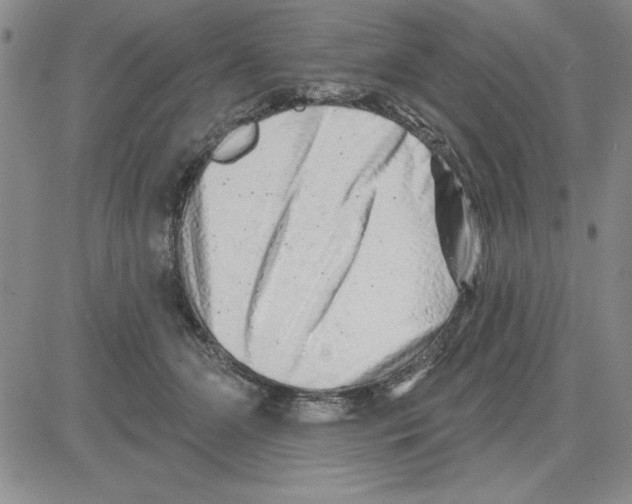 X0000080100510200701051308