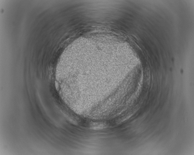 X0000080100511200701051308