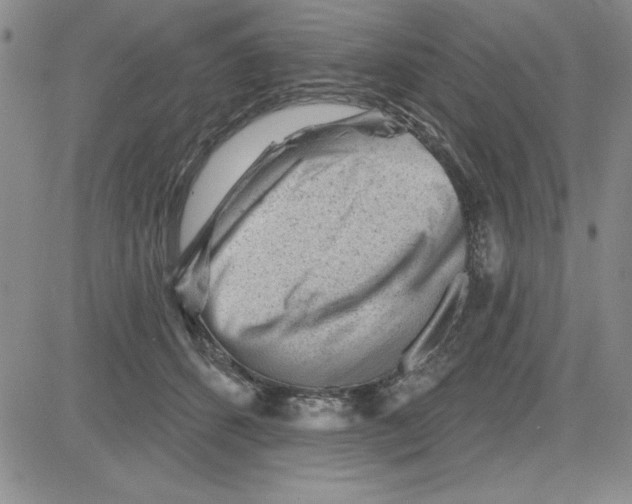 X0000080100512200701051308