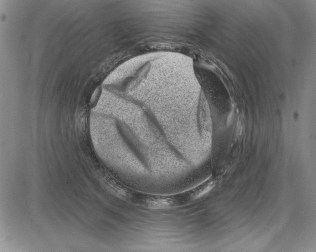 X0000080100513200701051308