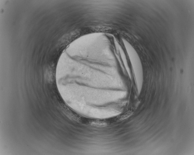 X0000080100515200701051308