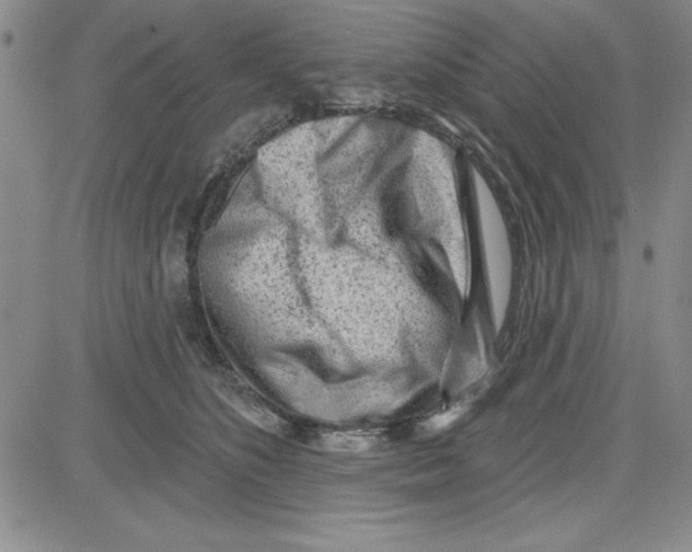 X0000080100516200701051308