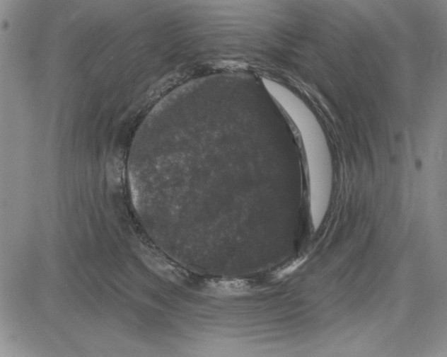 X0000080100517200701051308
