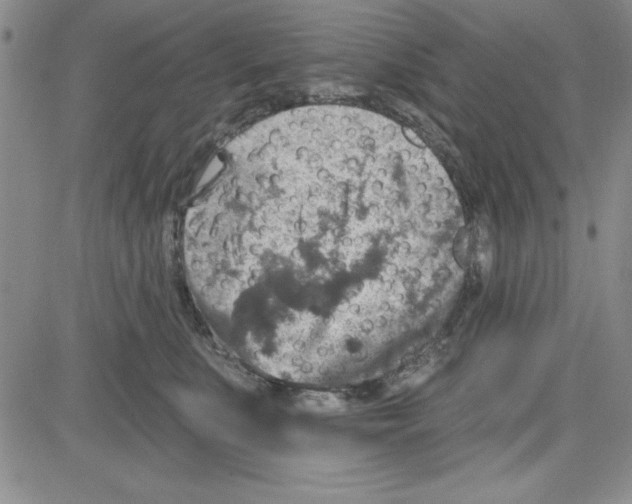 X0000080100519200701051308