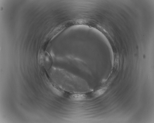 X0000080100526200701051308