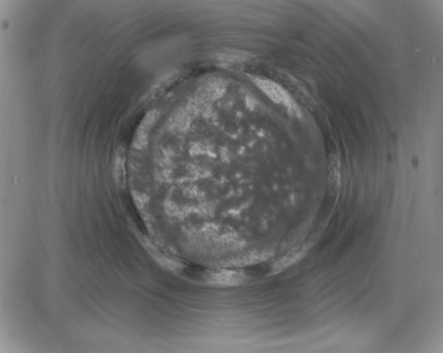 X0000080100527200701051308