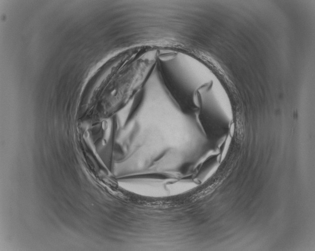 X0000080100532200701051307