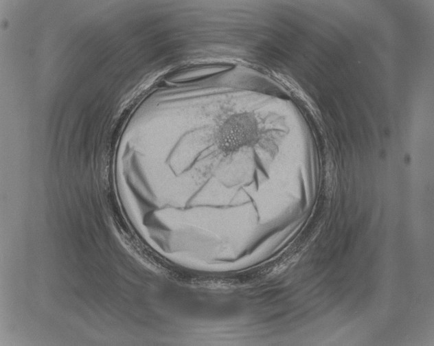 X0000080100533200701051307