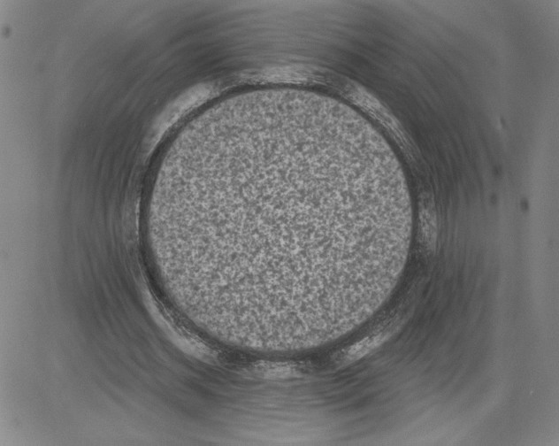 X0000080100534200701051307