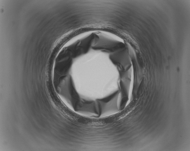 X0000080100536200701051307